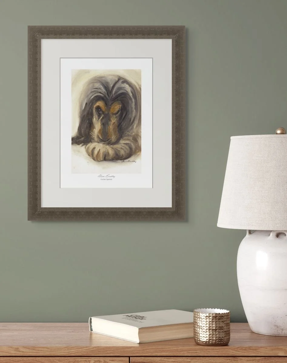 Cocker Spaniel