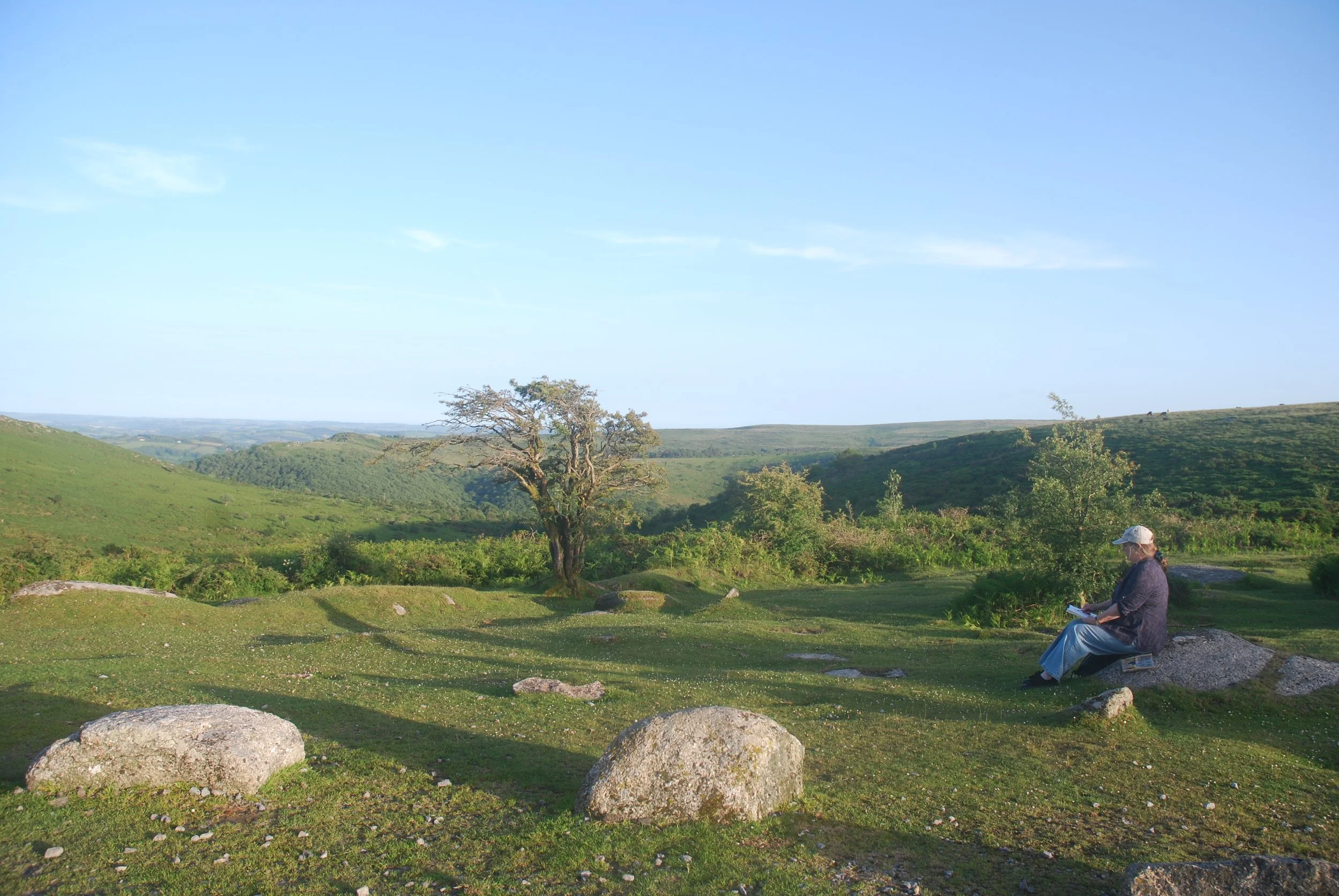 Dartmoor: A new project begins