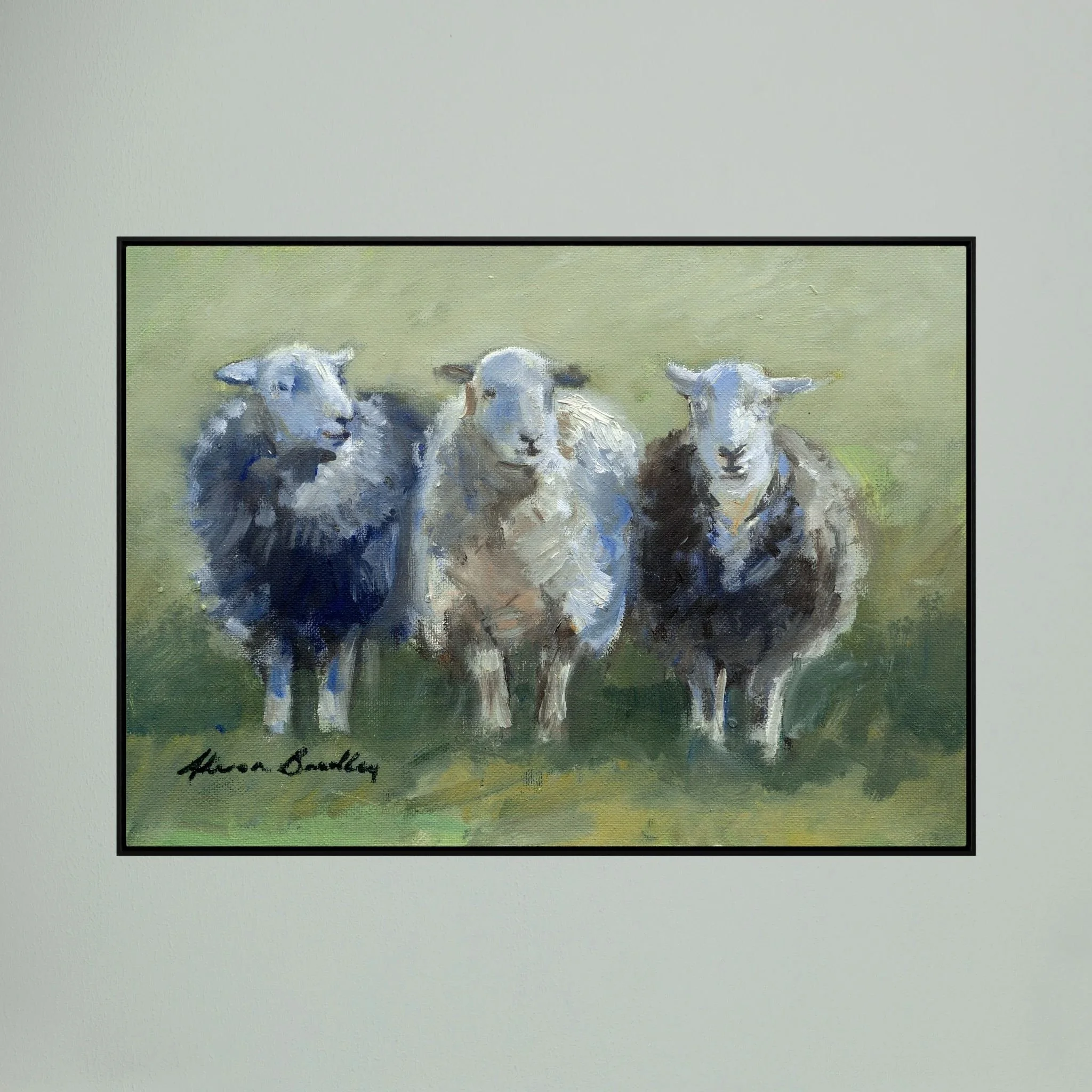 3 Herdwicks hanging