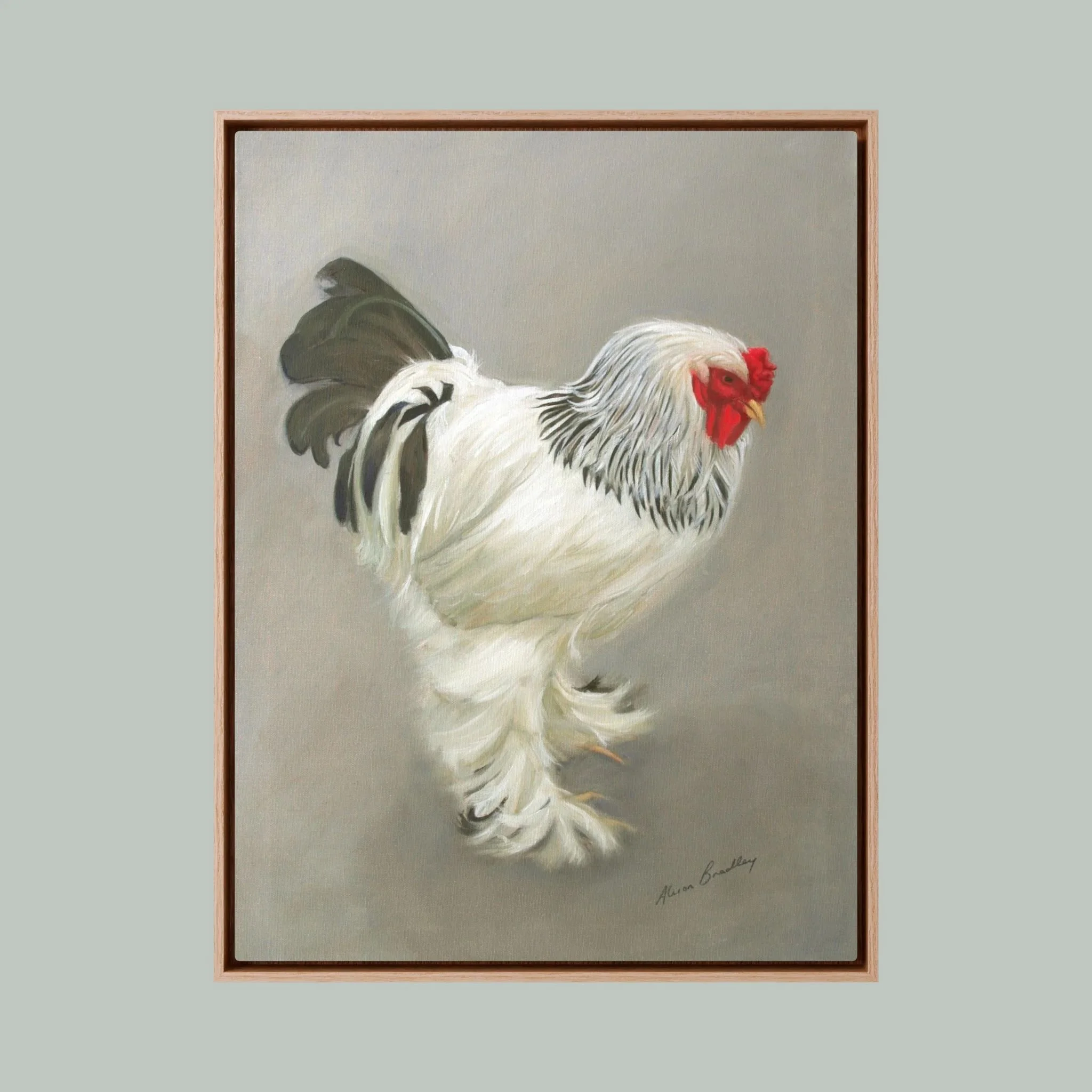 Light Brahma Cock