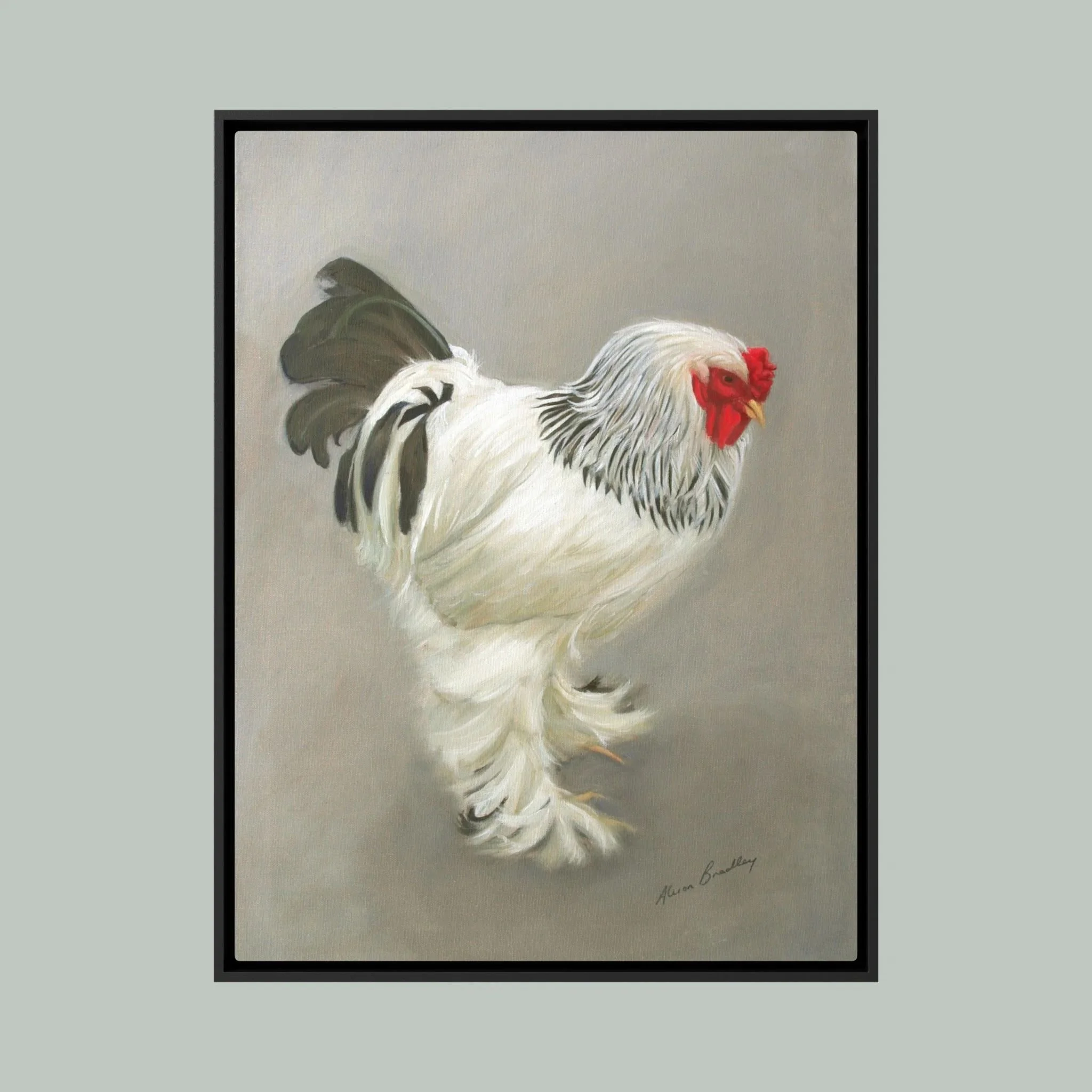 light brahma cock hanging