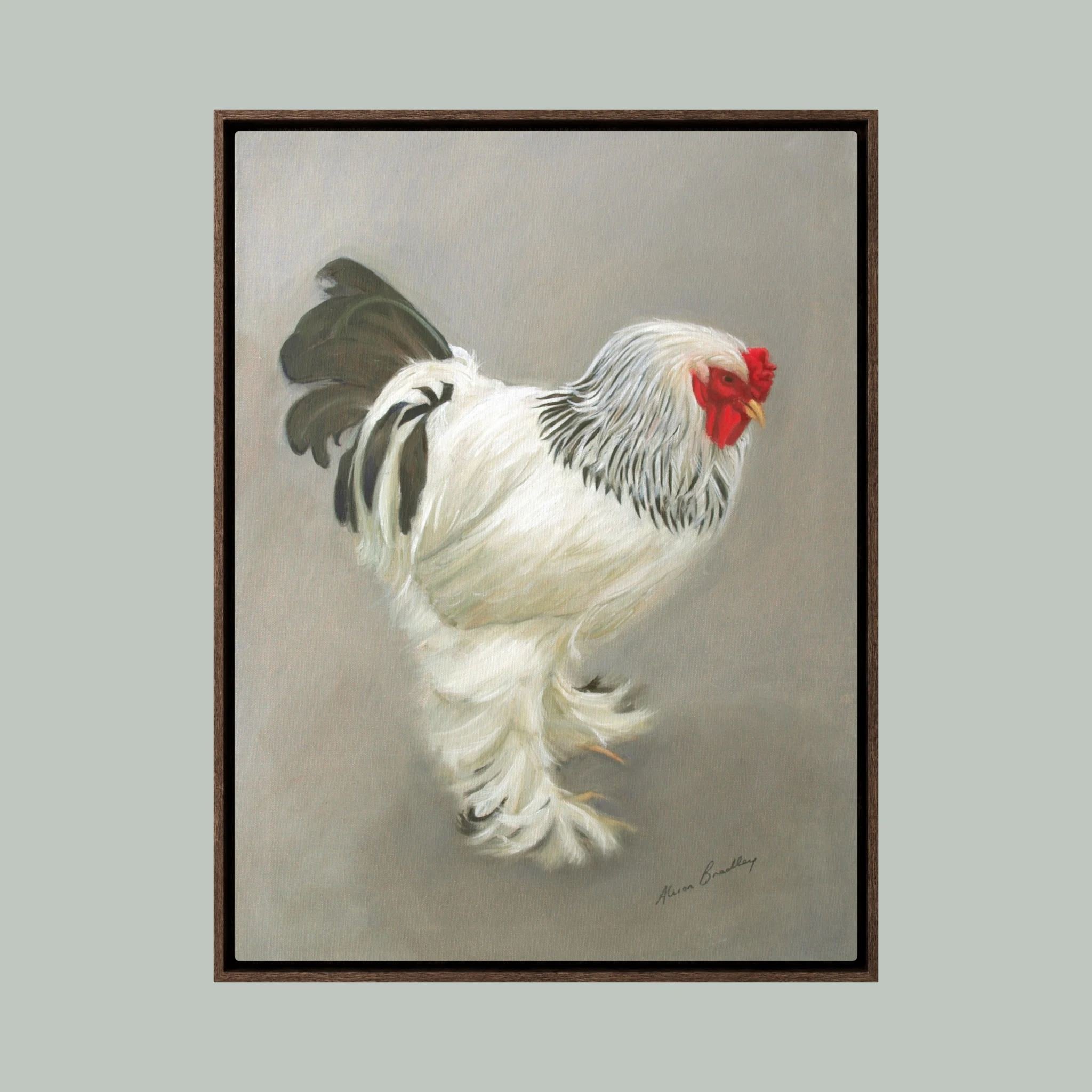 light brahma cock hanging