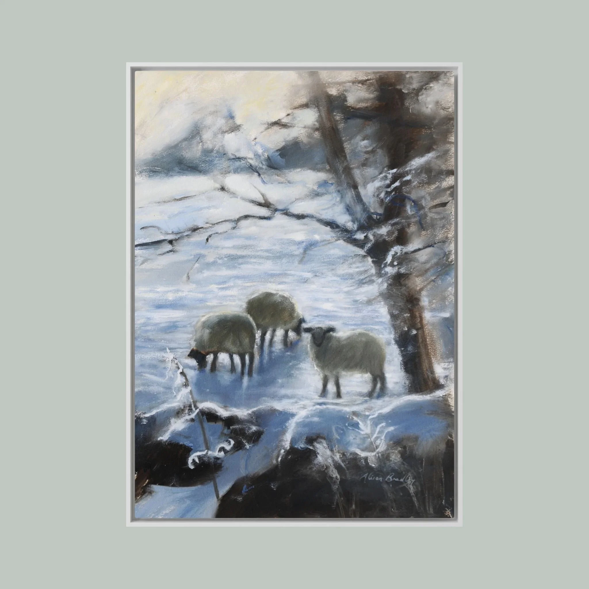 sheep deep winter hanging