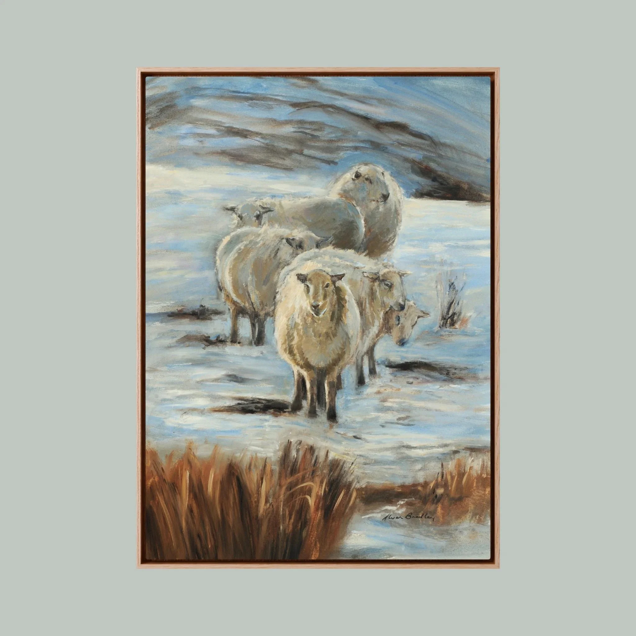 Sheep, Winter Sun