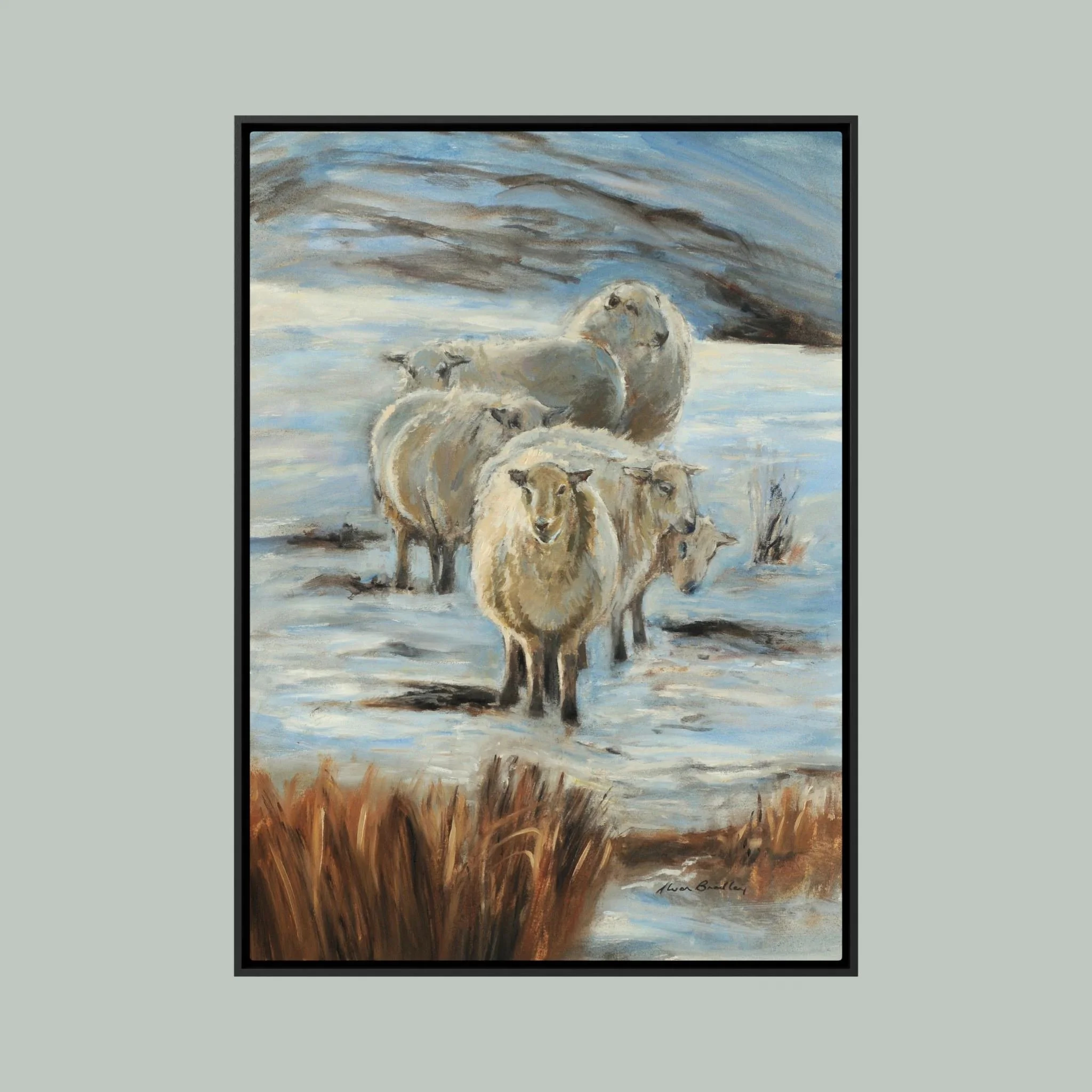 sheep winter sun hanging