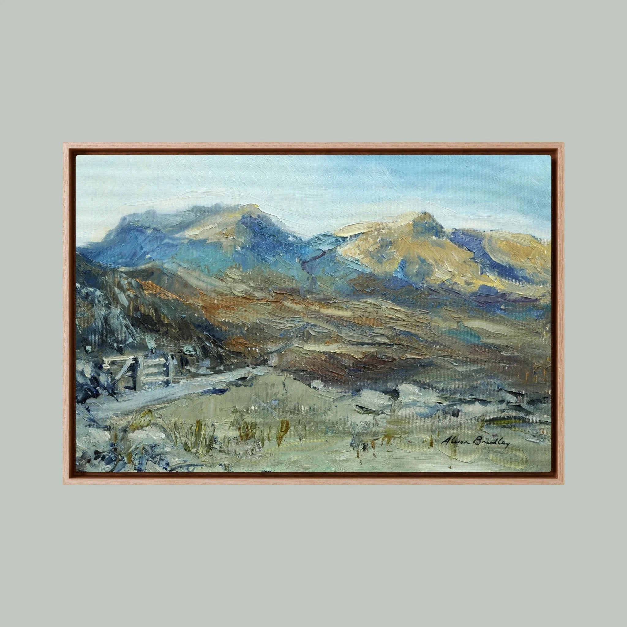 Road to Nant Ffrancon