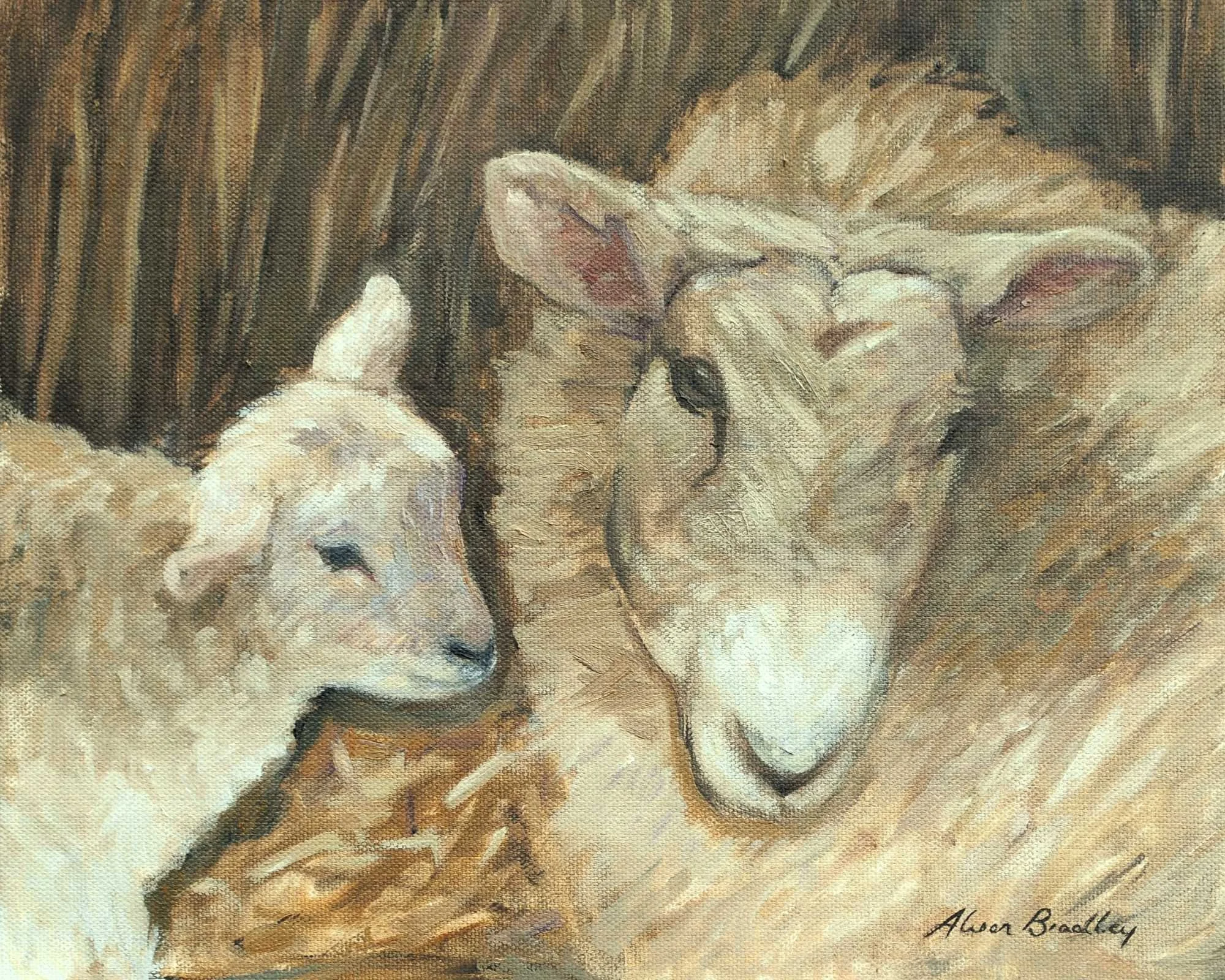 ewe with lamb