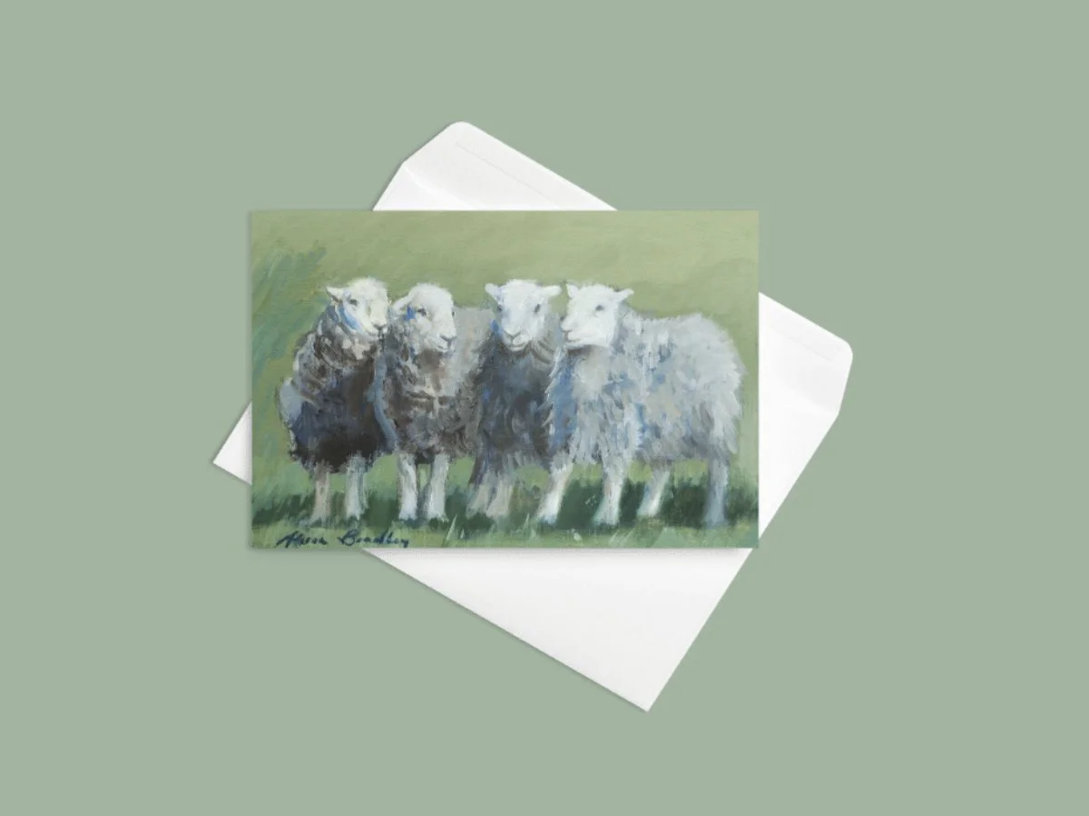 4 Herdwicks