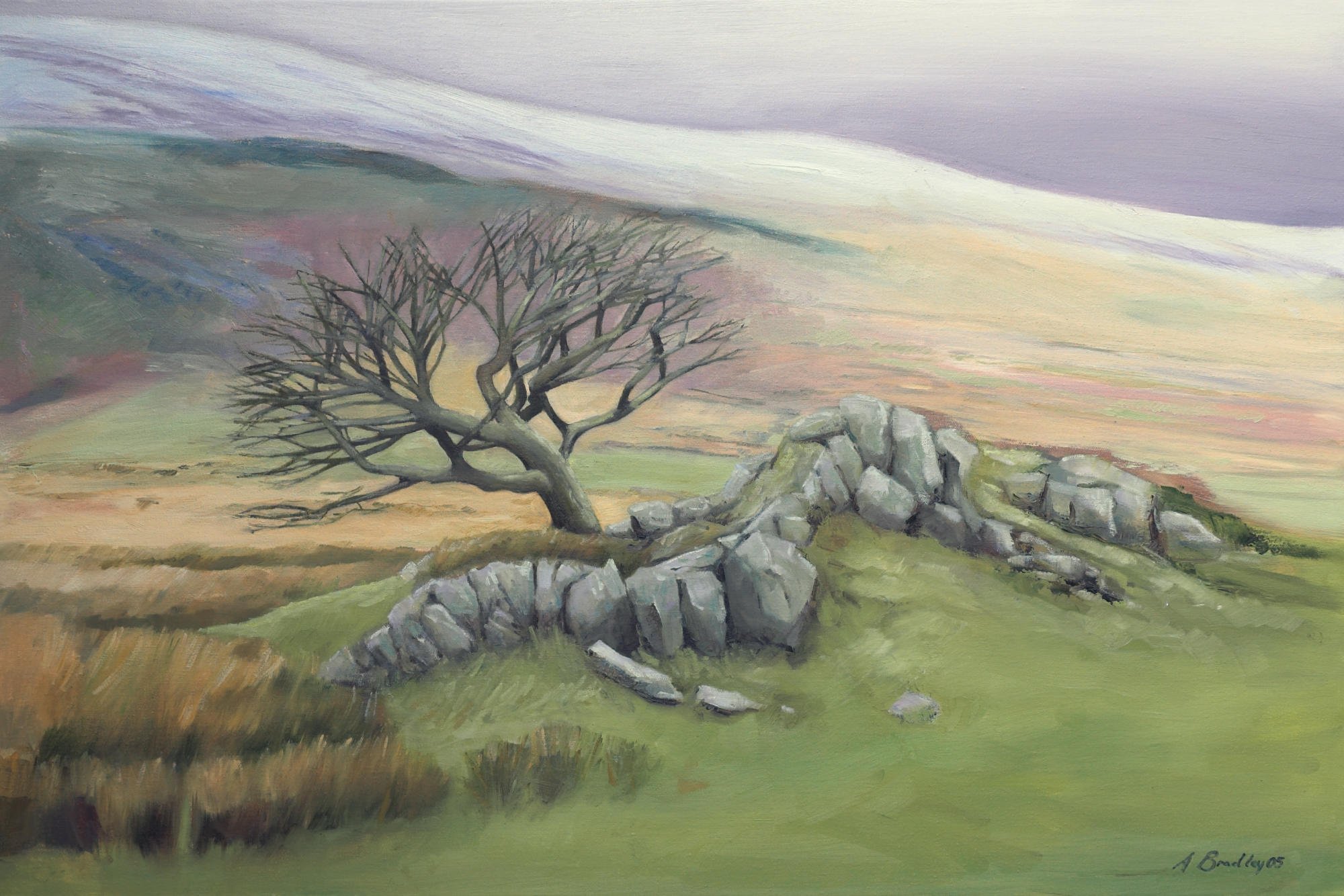 tree in snowdonia mountains