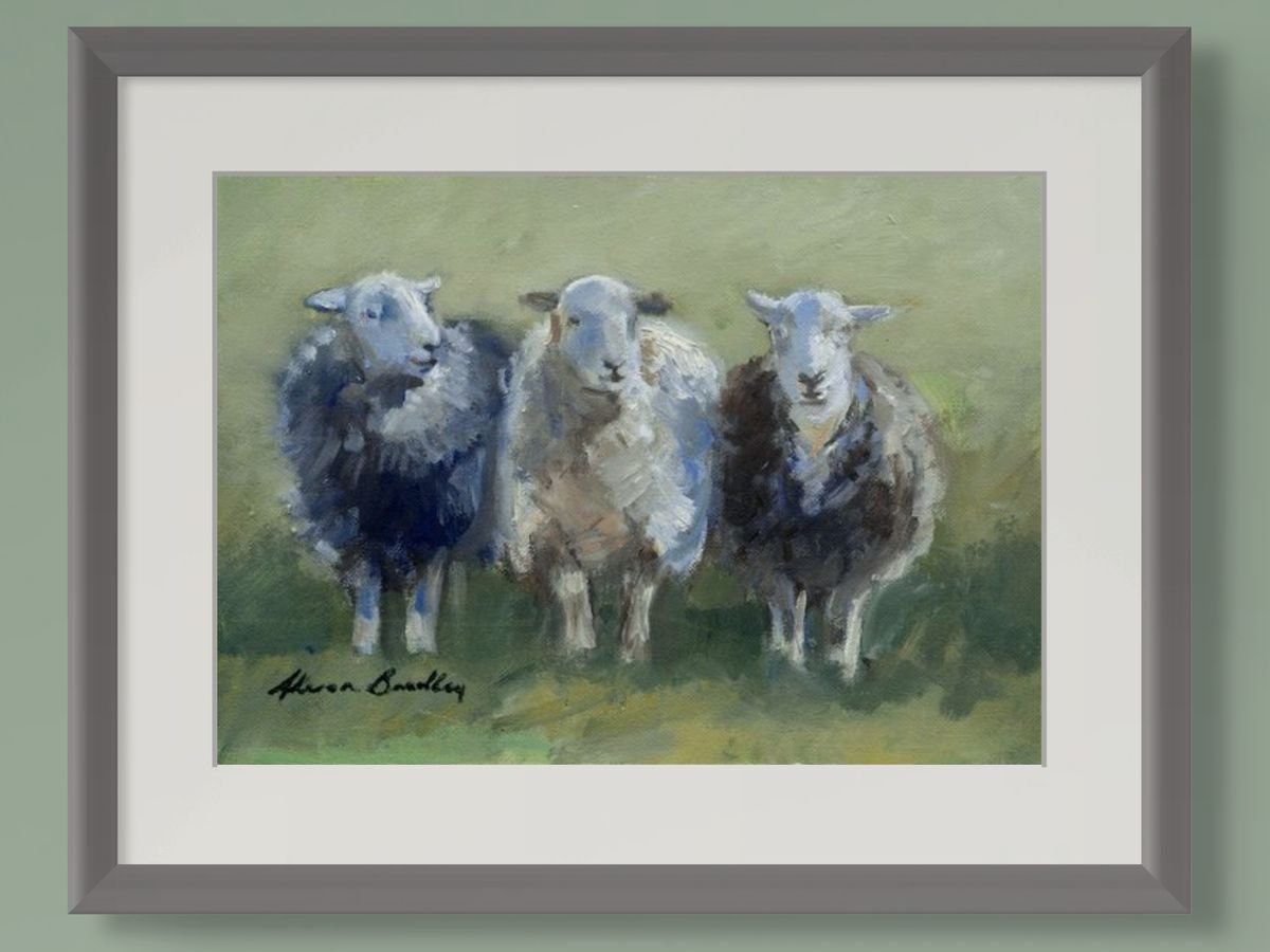 3-herdwicks-detail.jpg