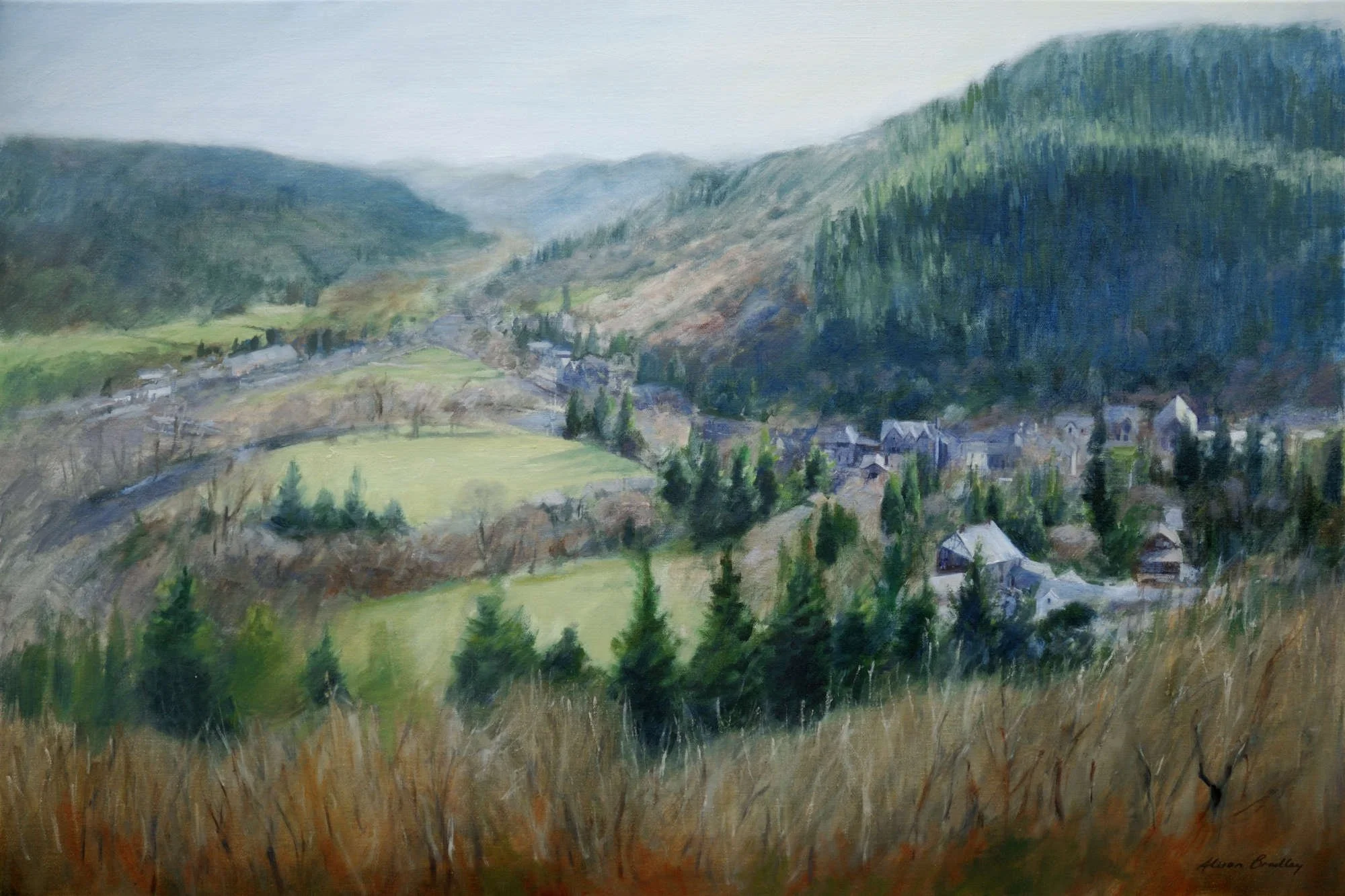 betws-y-cped viewed from clogwyn cyrrau