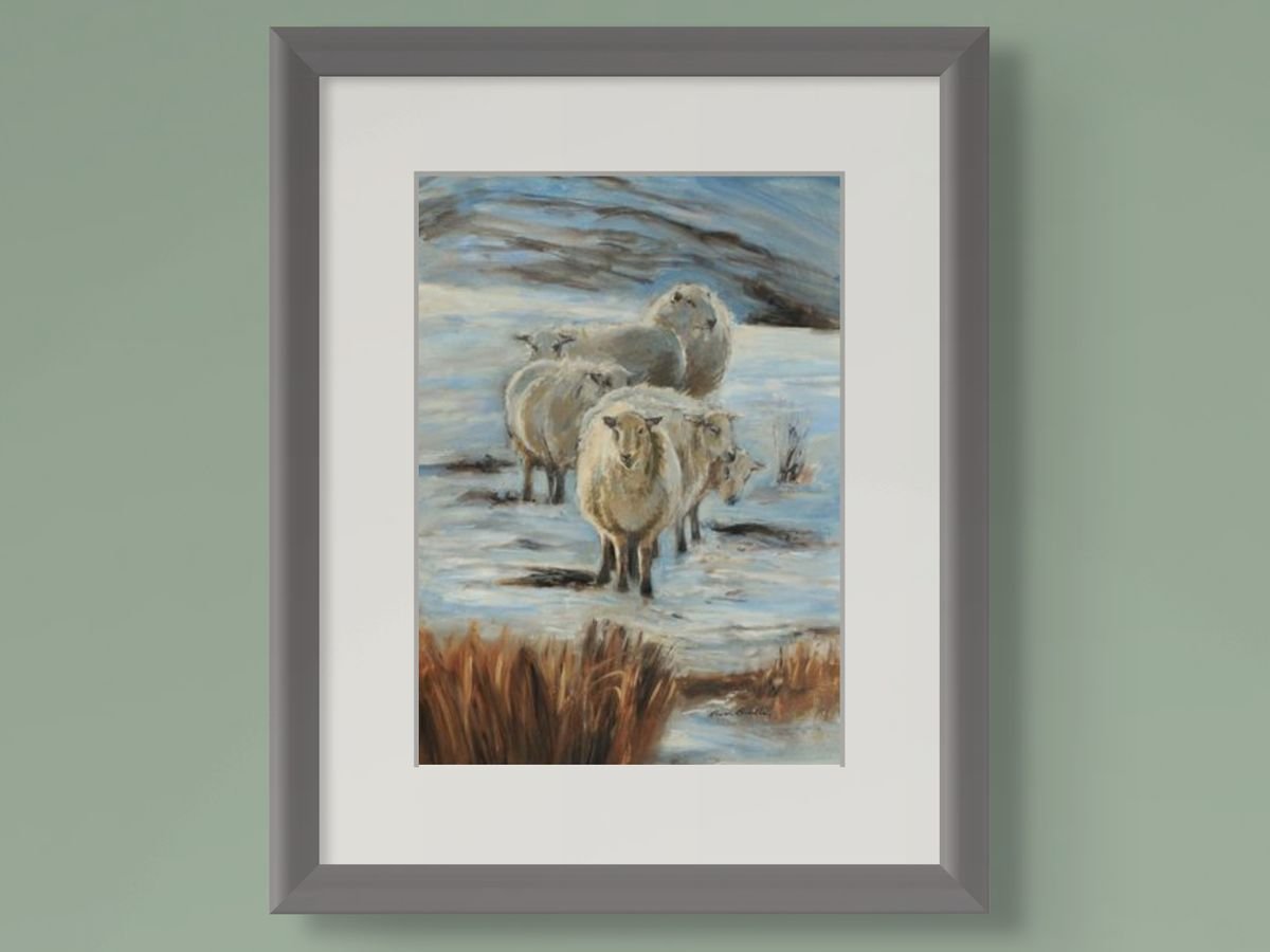 sheep-winter-sun-detail.jpg