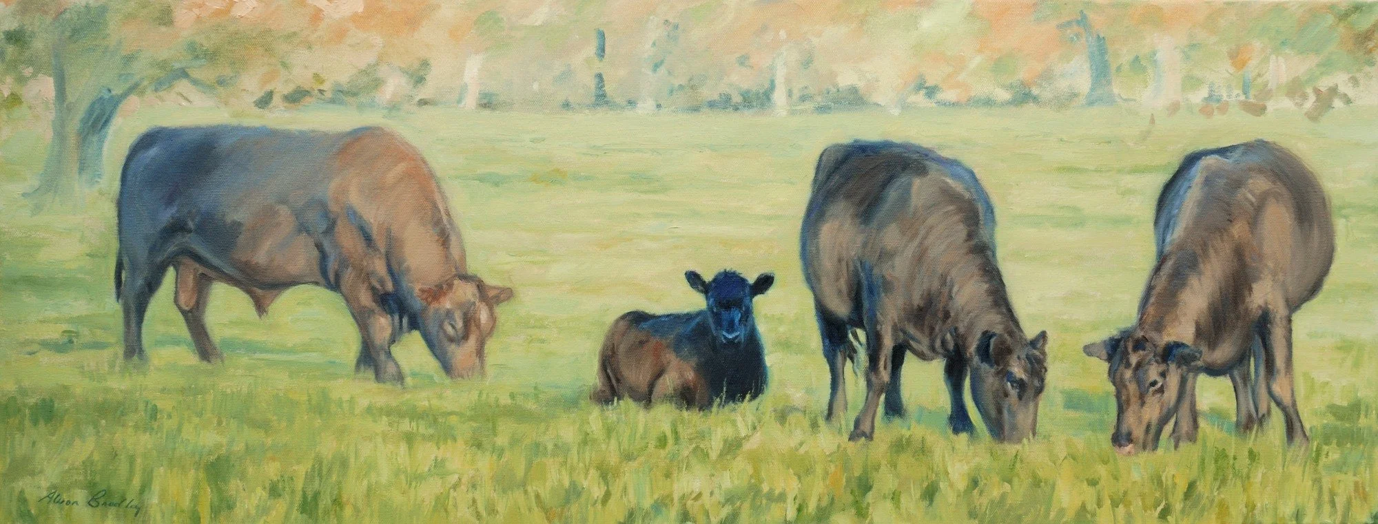 oil painting of aberdeen angus cattle