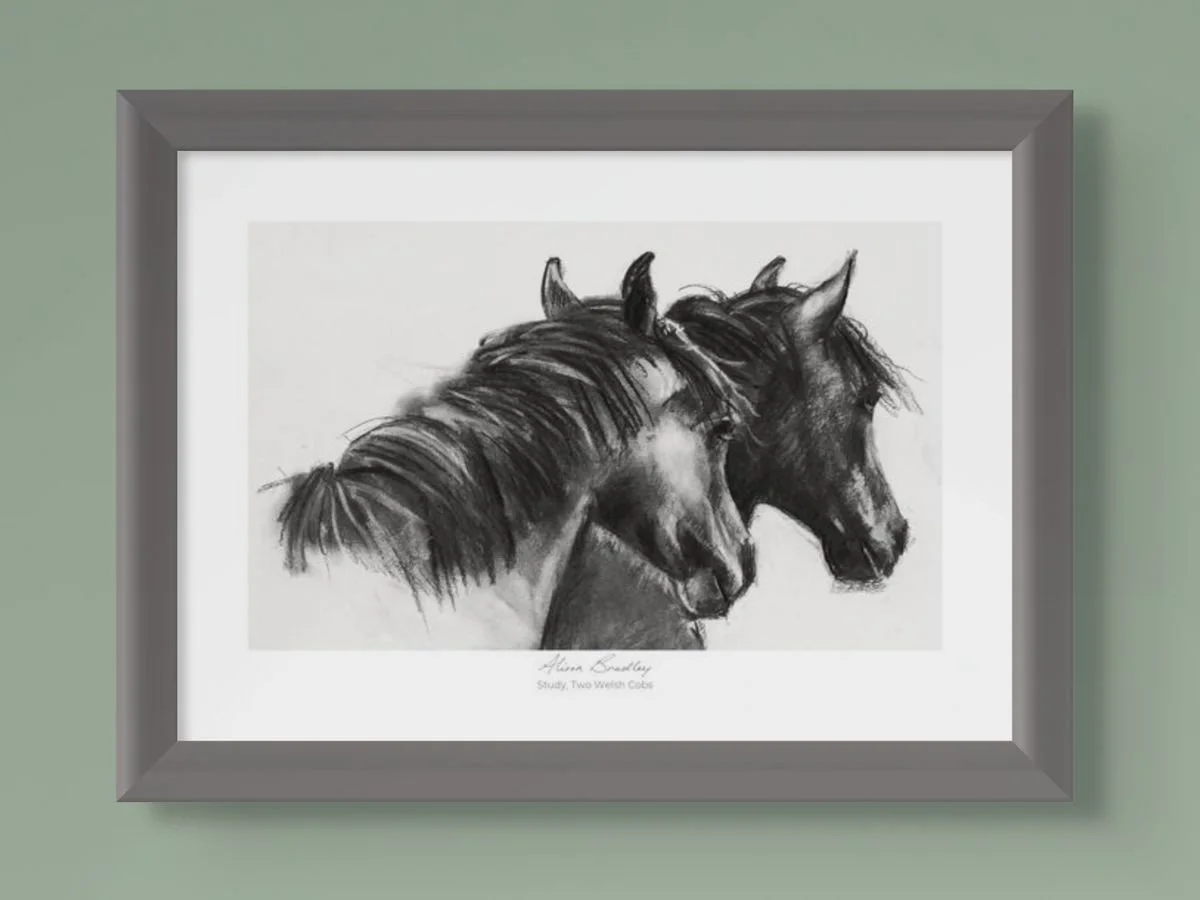 Study, Two Welsh Cobs