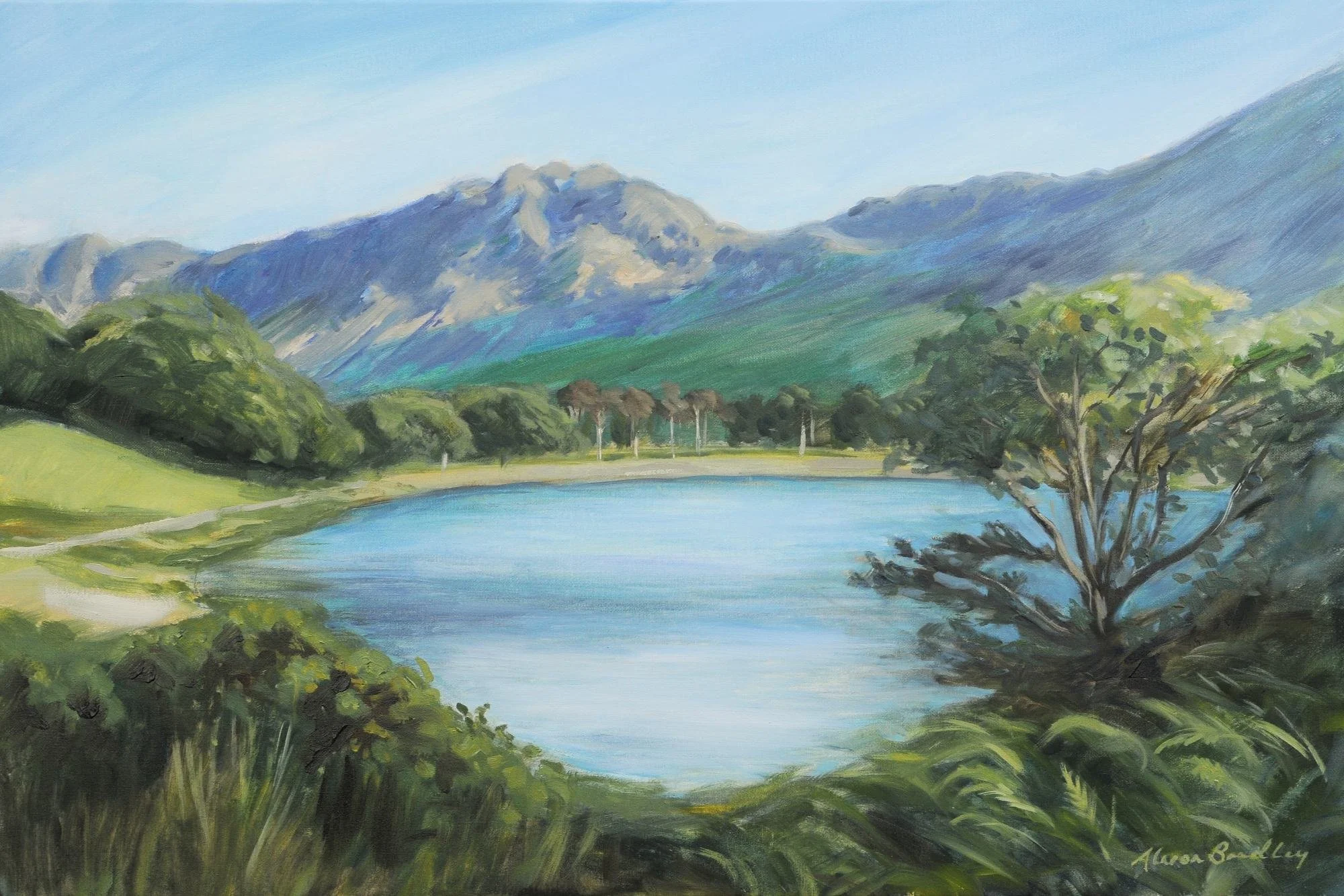 summer evening light on buttermere