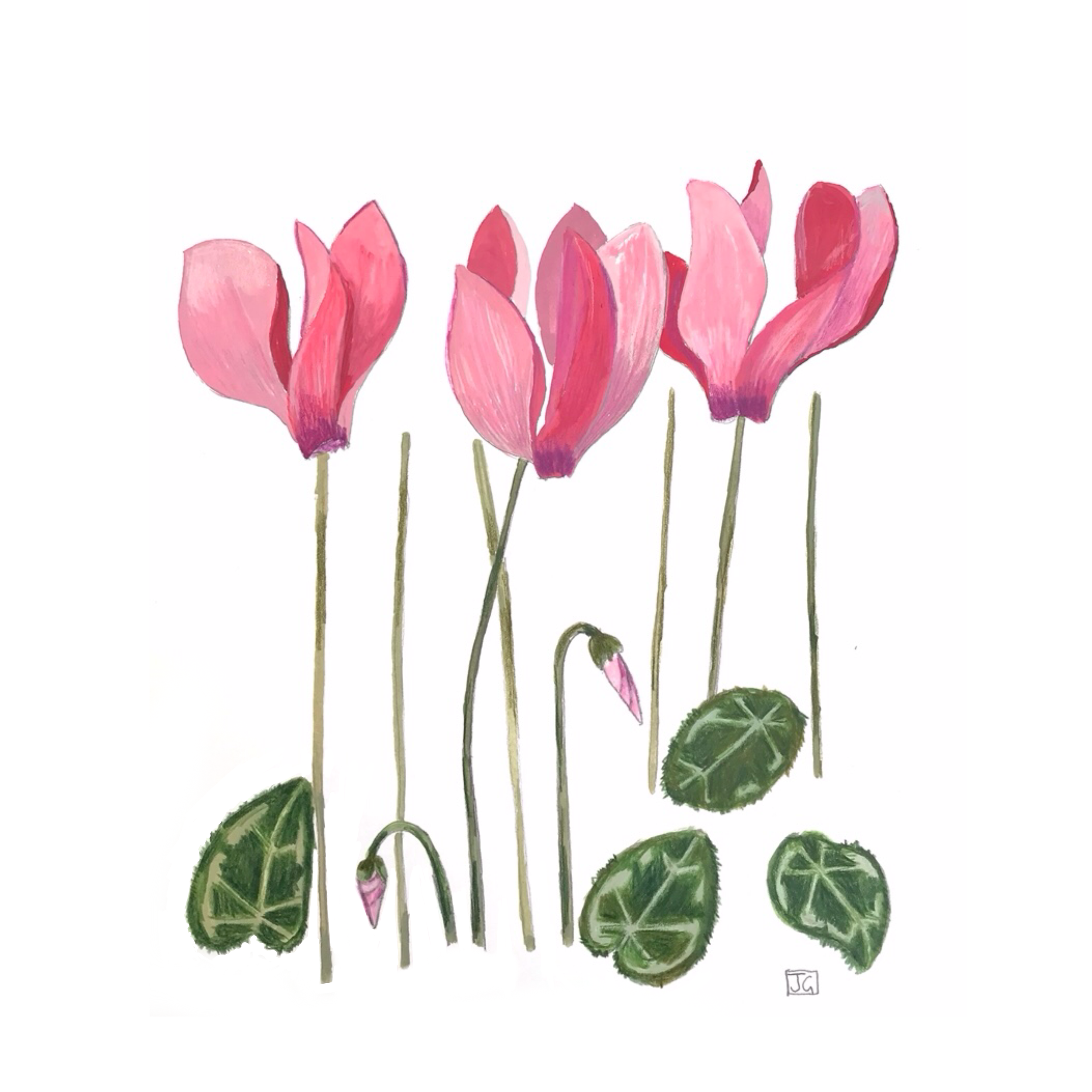 IMG_7293.png