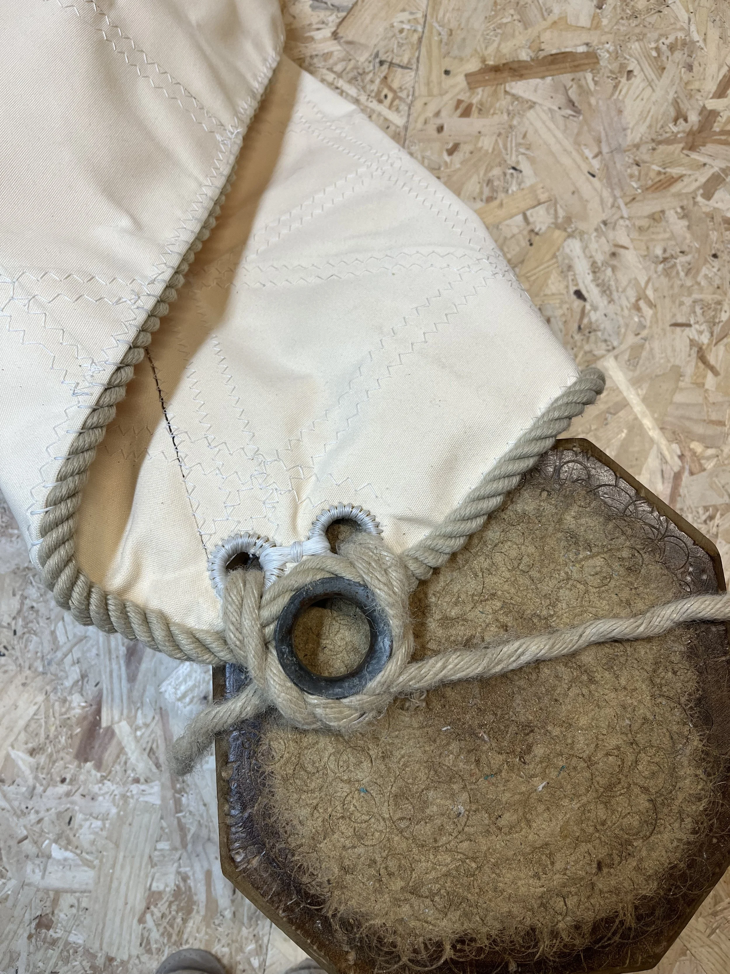 cringle in prog .jpeg