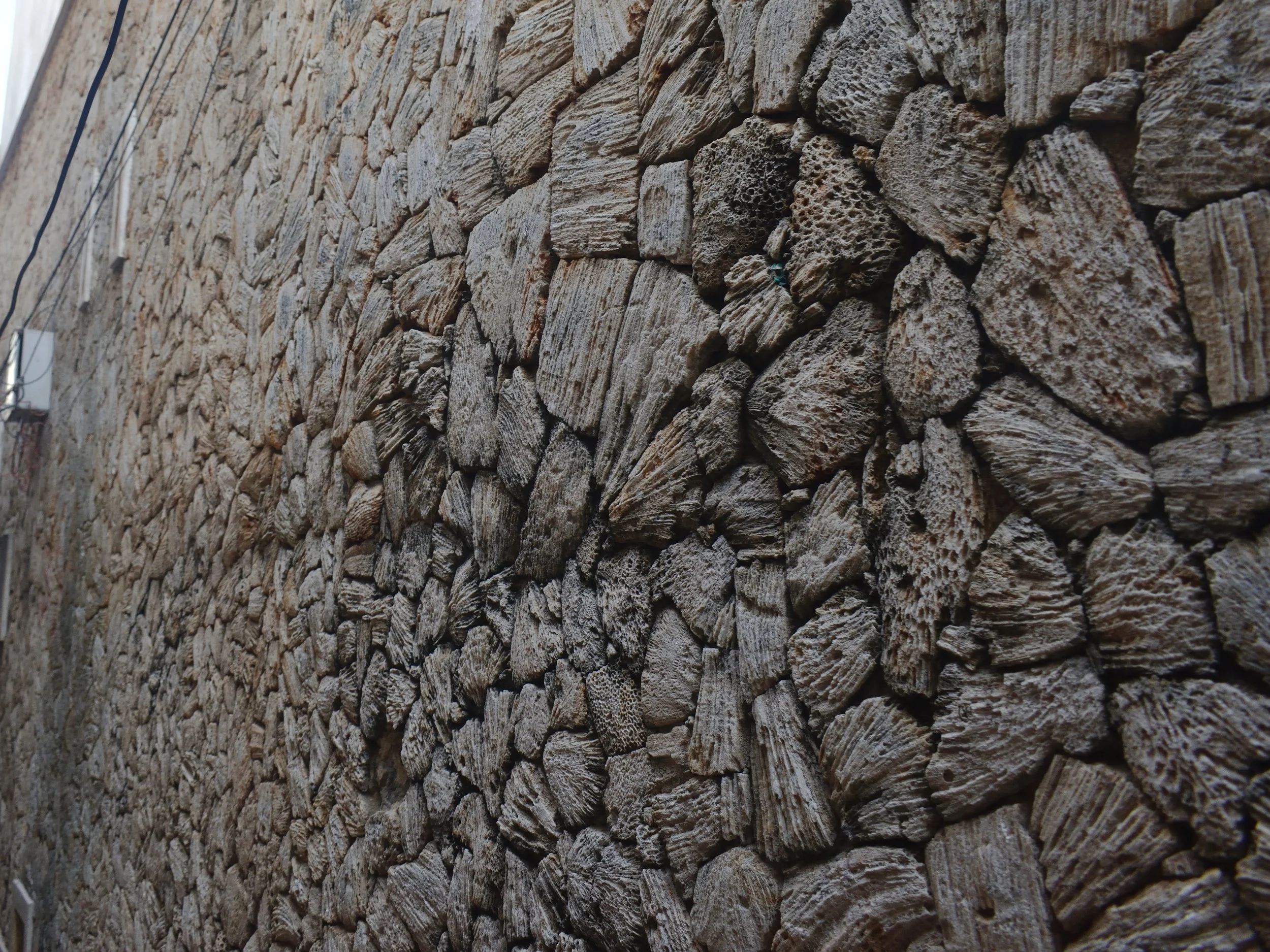 Shells in wall