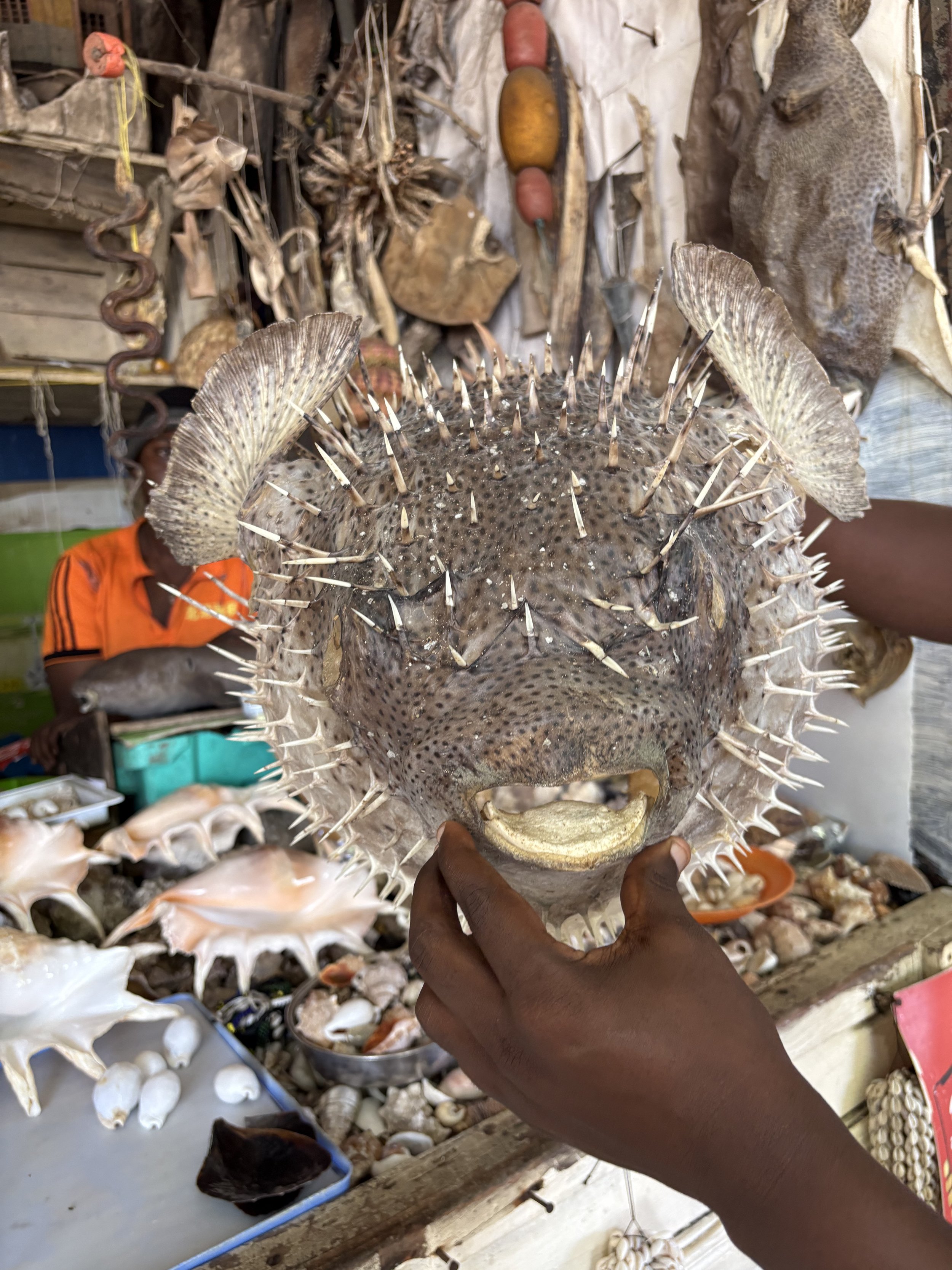 Dar es Salaam to Rusumo