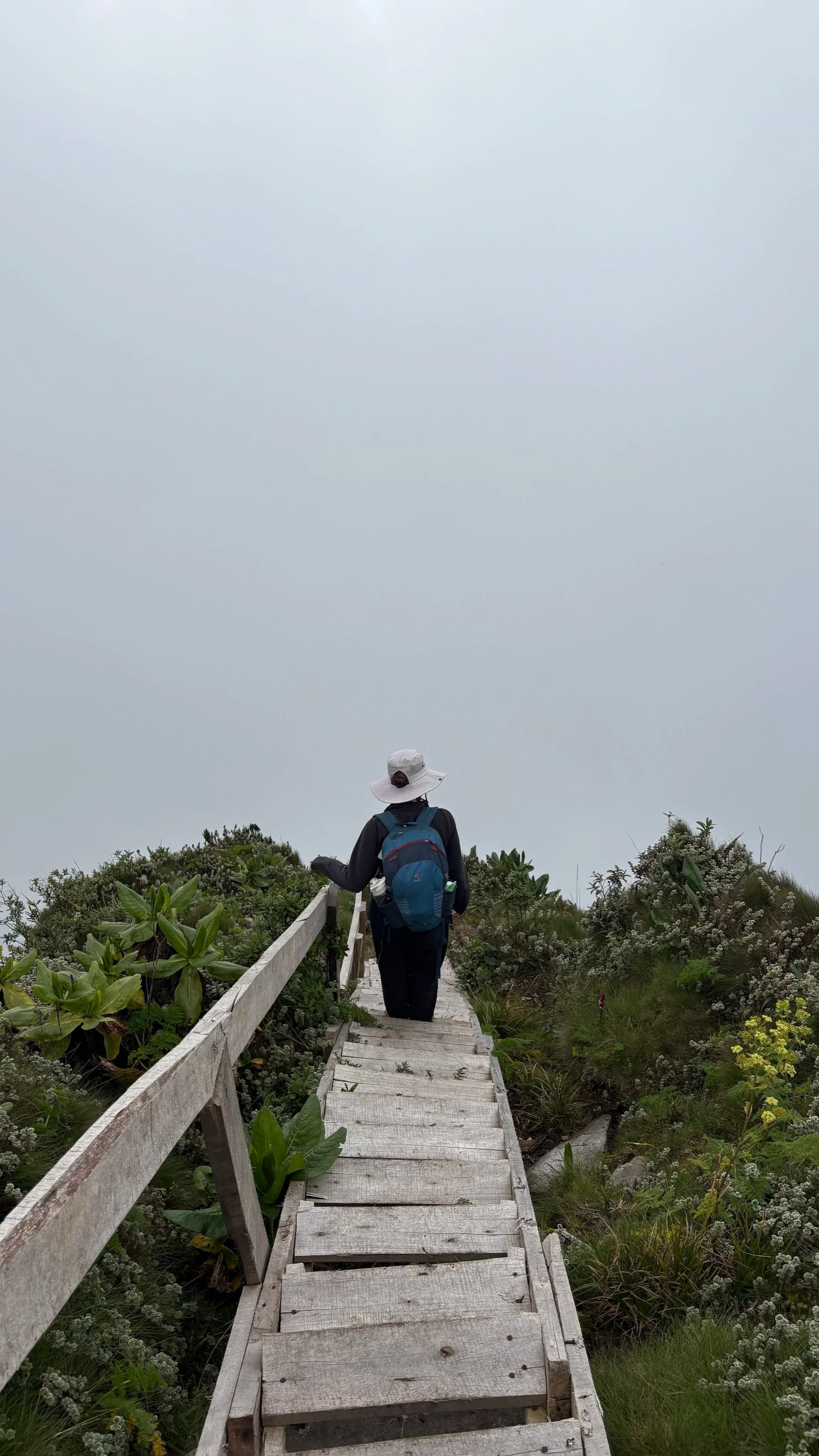 A hiker descends the steep stairs on Mount Sabyinyo as thick fog obscures the trail and surrounding landscape.