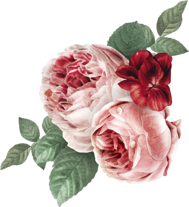 Illustration of pink peonies and a red pansy flower with green leaves.