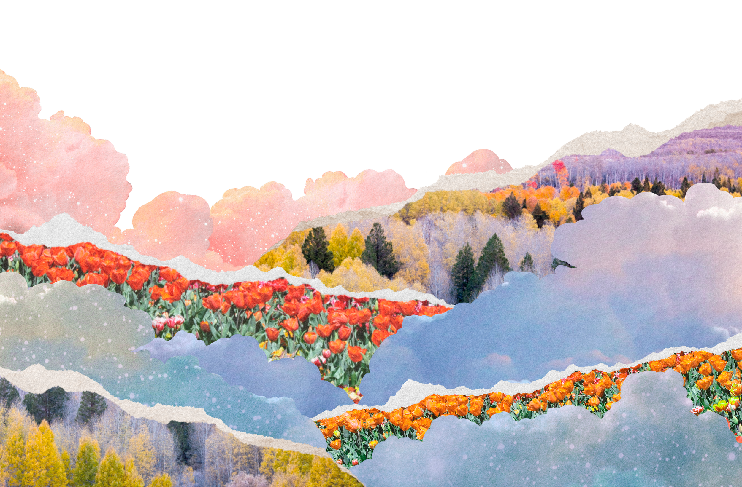 Collage of colorful mountain landscape with trees and tulip fields, illustrated with torn paper edges.