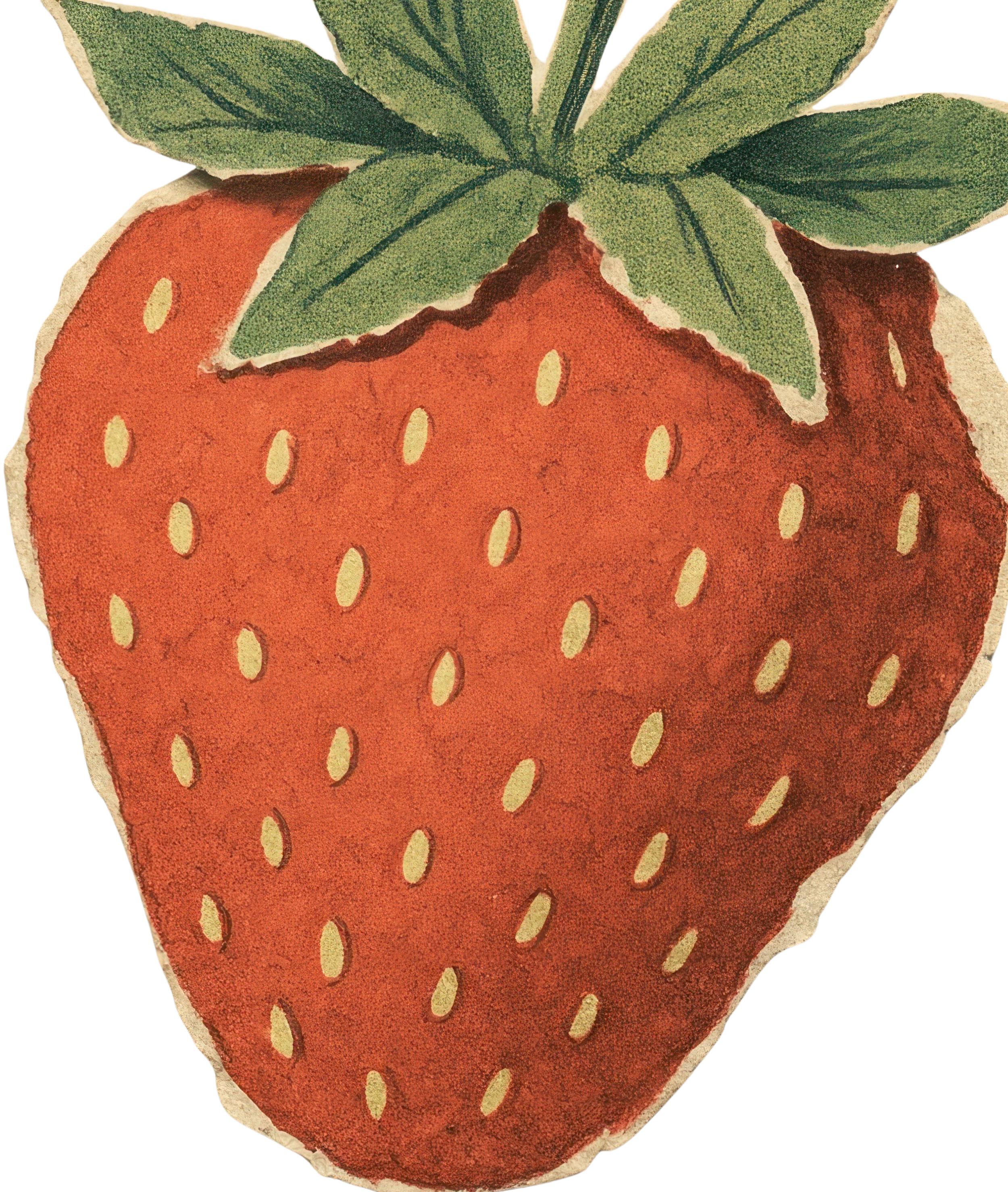 Illustration of a large, red strawberry with green leaves on top.
