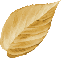 Stack of potato chips