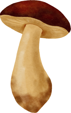 A close-up of a mushroom with a brown cap and a light-colored stem.