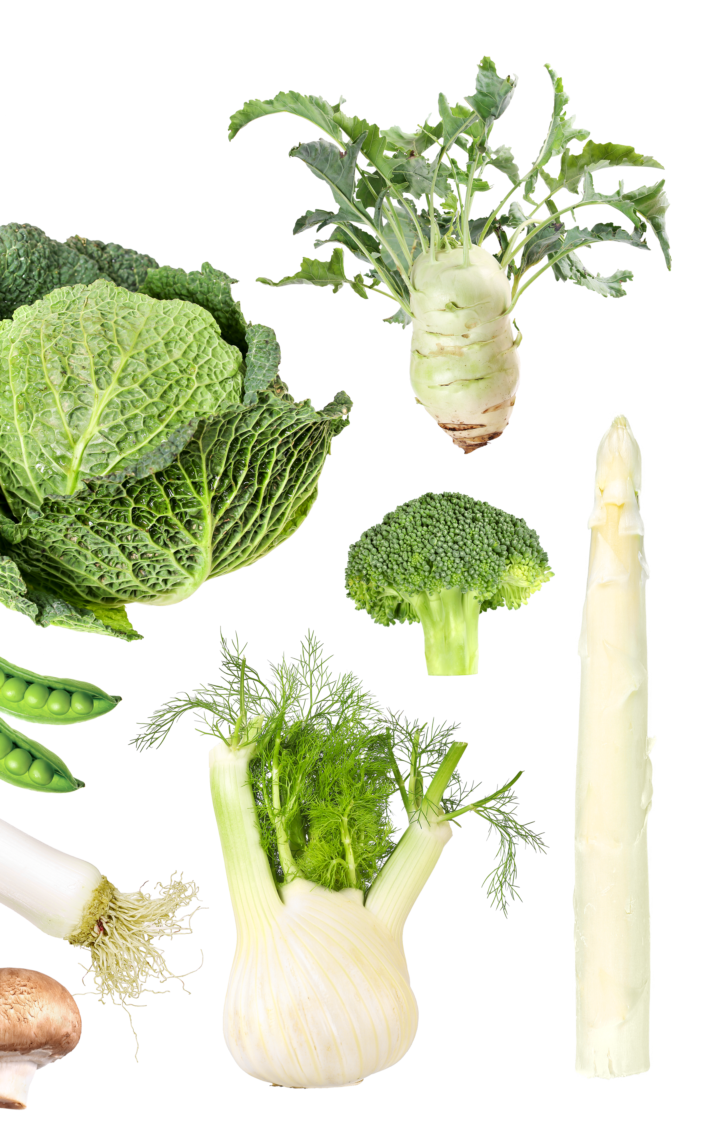 Assorted fresh vegetables including cabbage, kohlrabi, broccoli, fennel, artichoke, white asparagus, and peas.