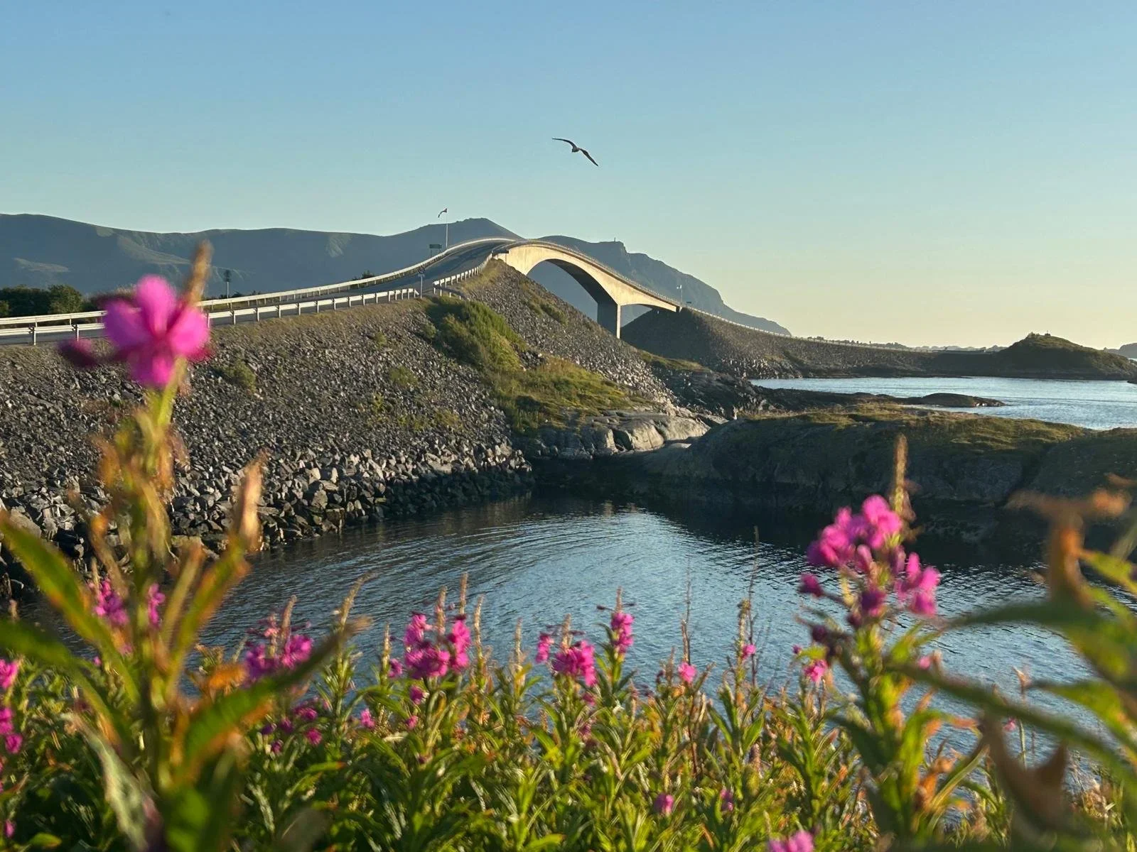 Architetture dell’anima: quando l’ingegno umano dialoga con la natura