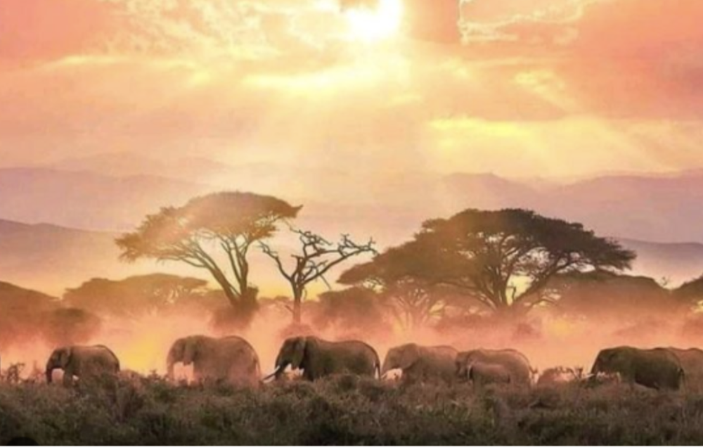 Kenya: tra Safari, comunità locali, tradizione e mare