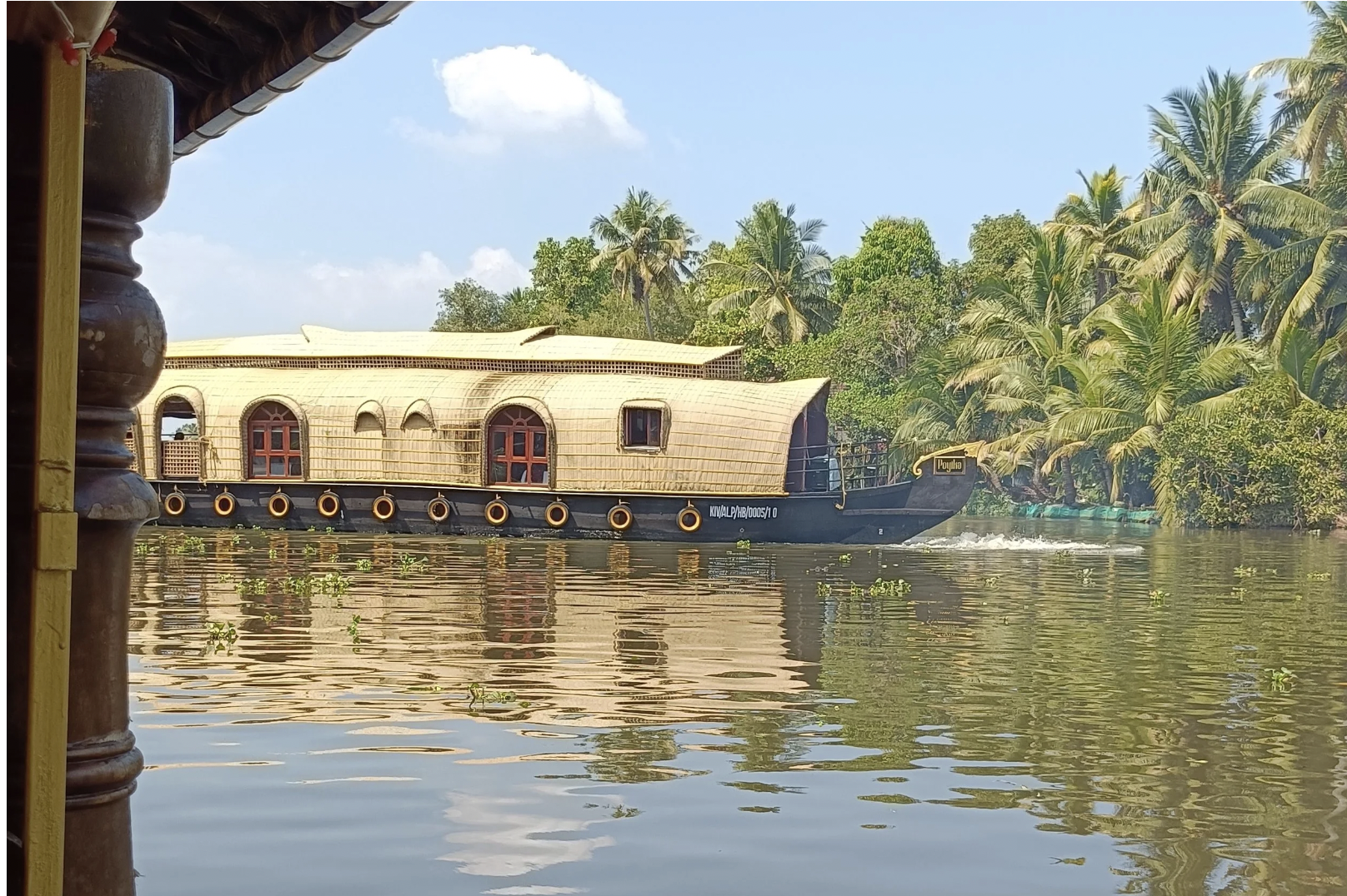 Kerala: un viaggio tra Yoga, Ayurveda, cocco e sorrisi