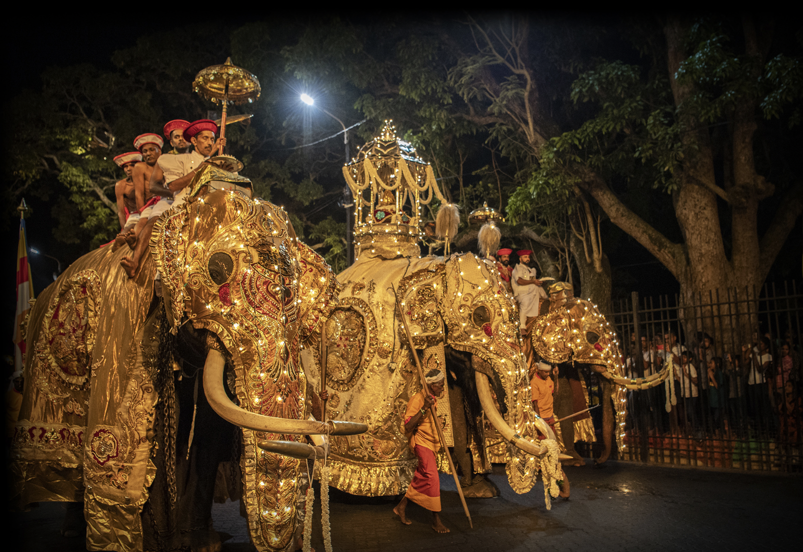 Sri Lanka in Estate: Tra festival Buddisti, templi Induisti, mare e piantagioni del the