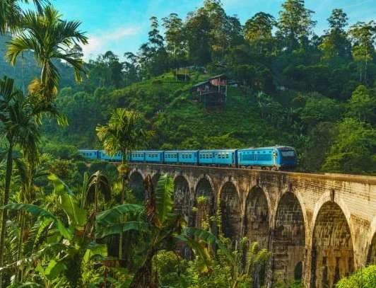 SriLanka+Treno+Panoramico+.webp
