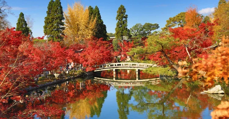 Tempio-Eikando-1.webp