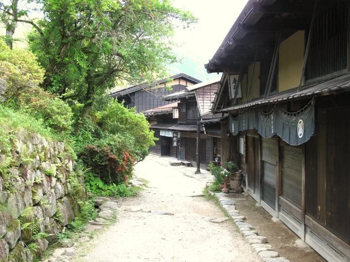 62.webp