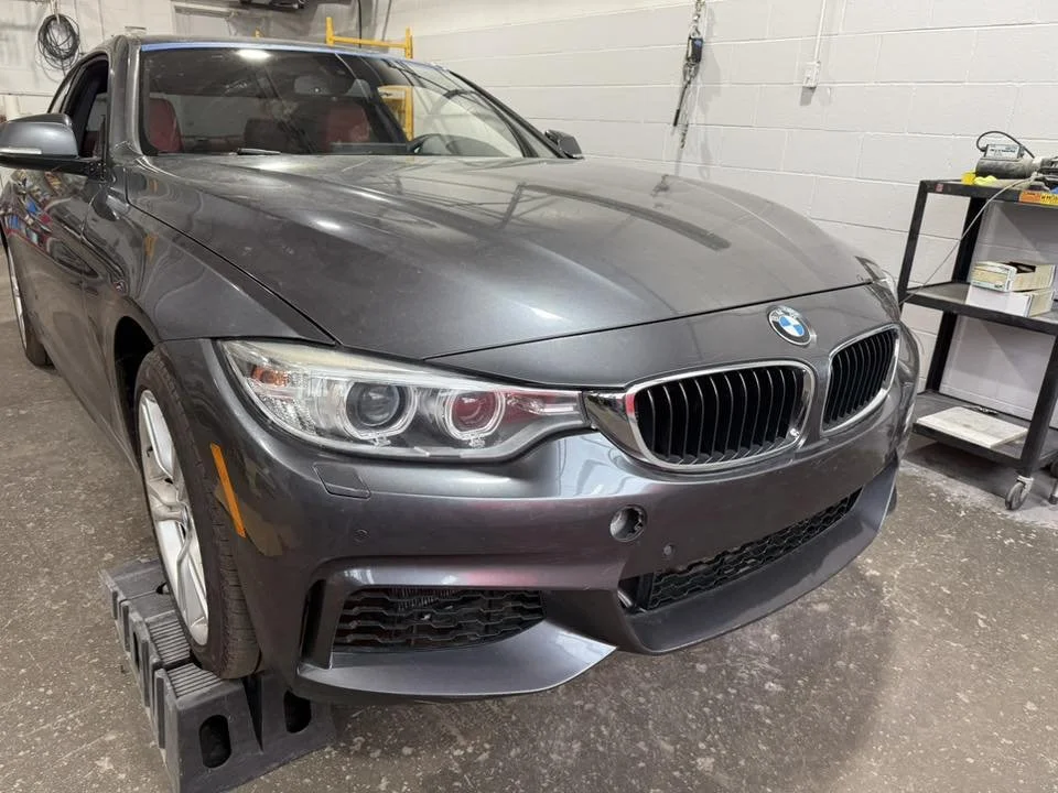 bmwfalcoln.jpg