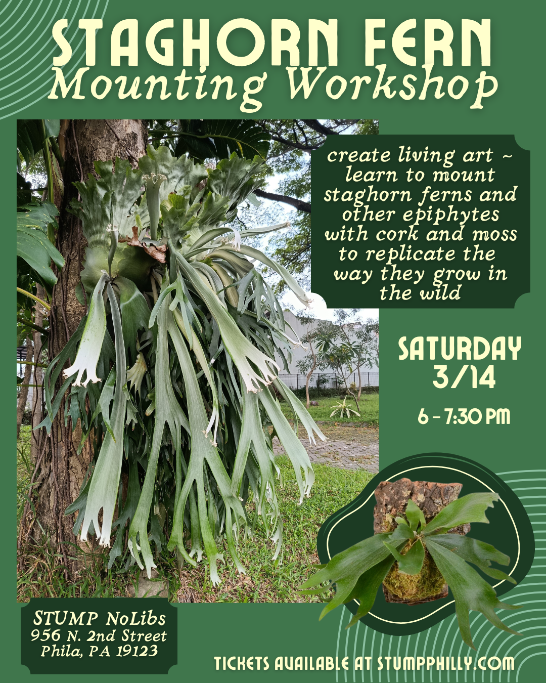 Staghorn Fern Mounting Workshop @ Northern Liberties [3/14]