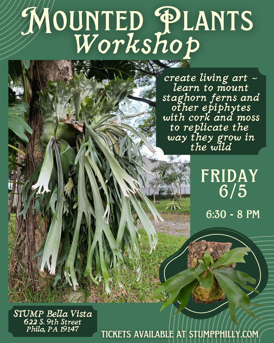 Mounted Plants Workshop @ Bella Vista [6/5]