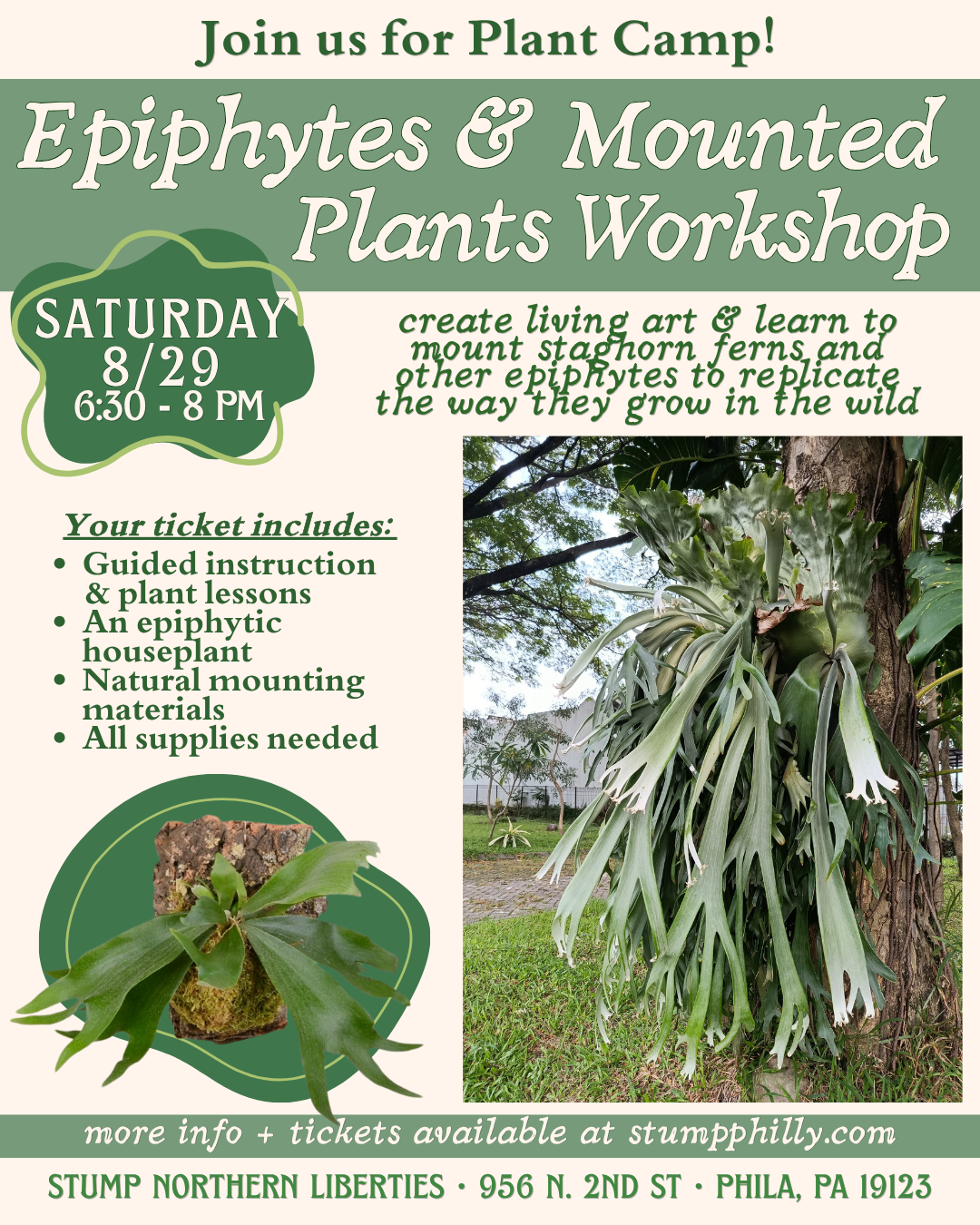 EPIPHYTES.png