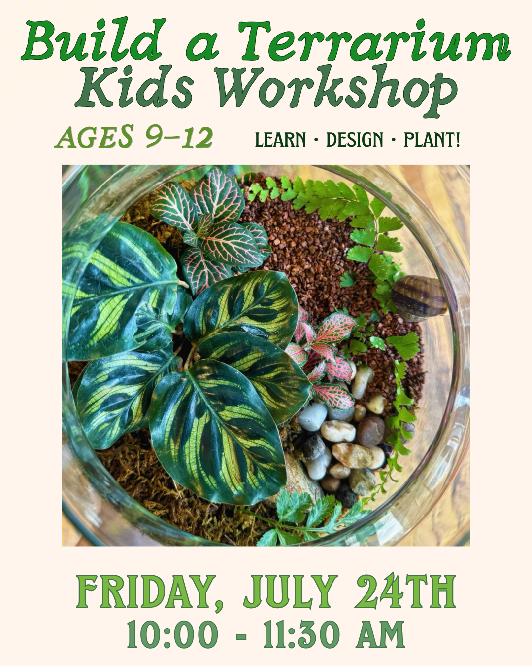9-12terrariums.png