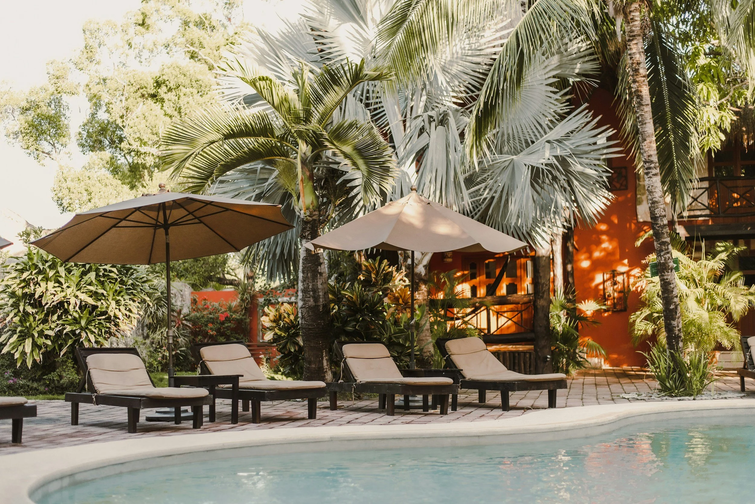 Poolside scene with four lounge chairs and two umbrellas surrounded by lush tropical plants and palm trees, with an orange building in the background.