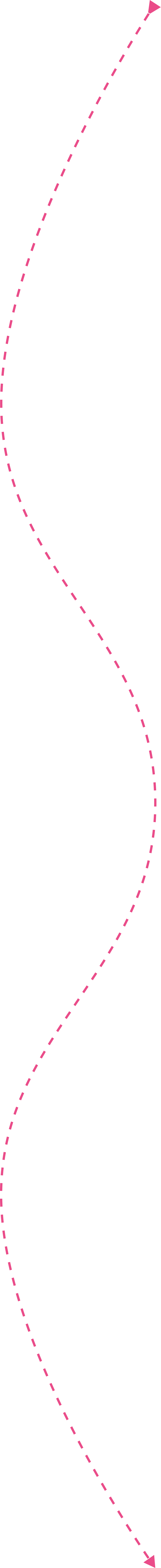 A black cat walking along a black sidewalk, with palm trees and buildings in the background. It's daytime, and the sky is partly cloudy.