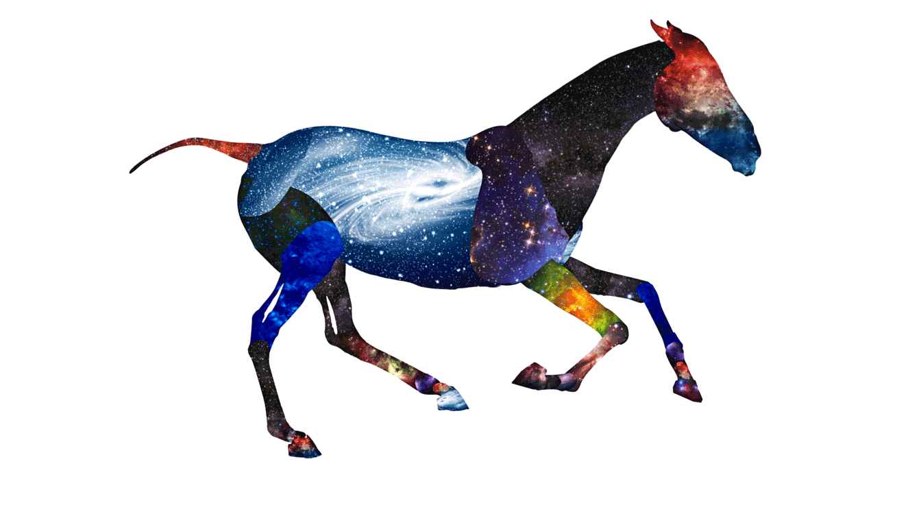F5_Horse-Galaxy.gif