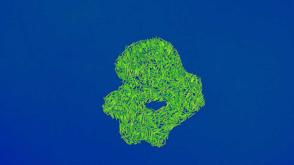 F5_Web_Nails Goo.gif