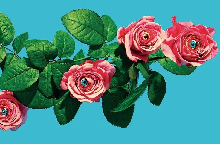 “Waarom een Virtual Assistant met een Creatieve Touch?”