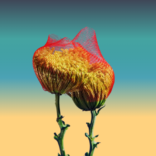 A digital art depiction of a flower with red, yellow, and green colors, set against a gradient background.