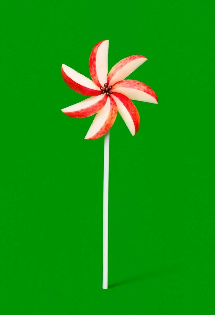 A red and white striped apple slicer arranged to resemble a pinwheel, mounted on a white stick against a green background.
