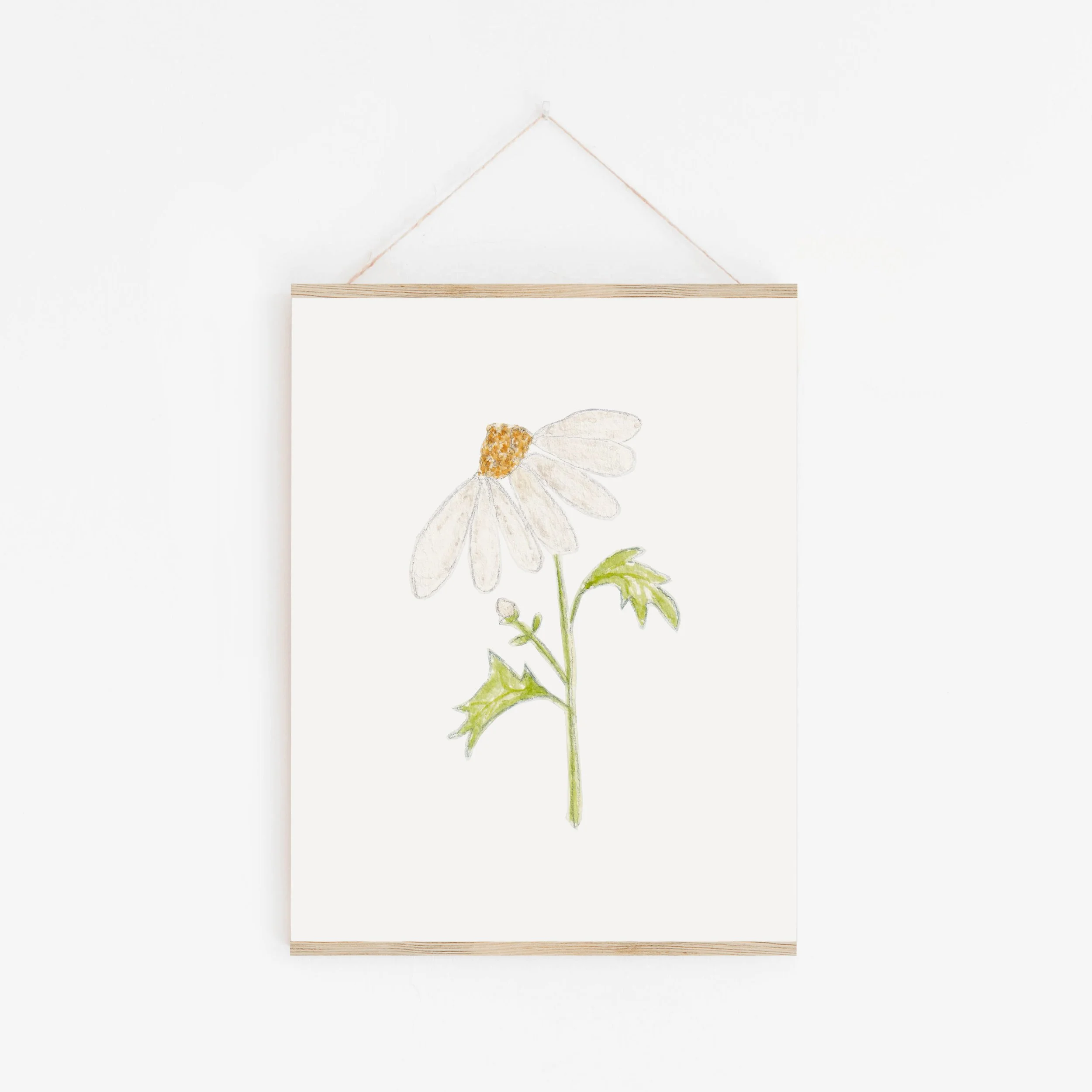 PRINT108_Daisy_Hanger.jpg